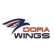 Dora Wings - rare and historic scale aircraft model kits